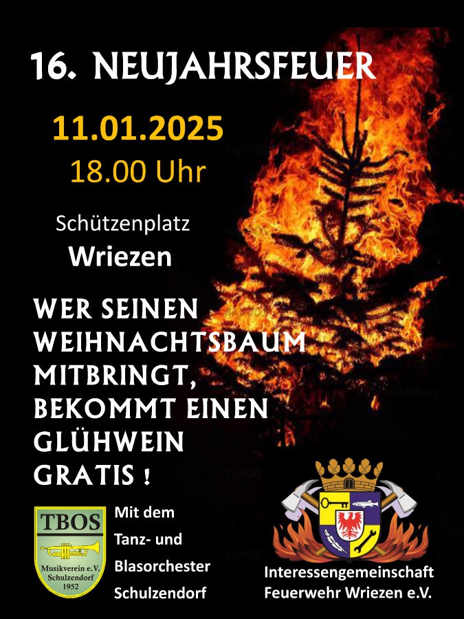 web_16_Neujahrsfeuer_TBOS